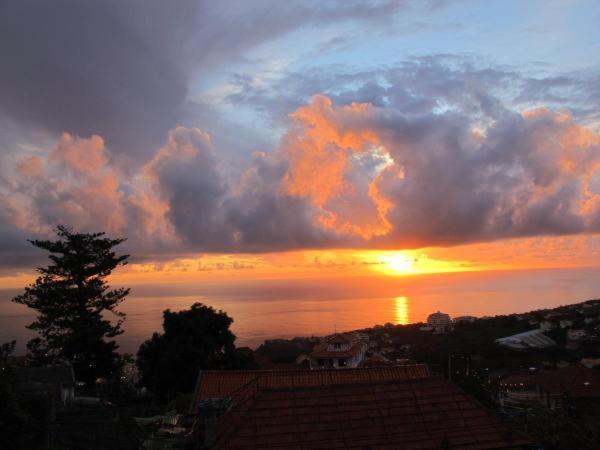 Madeira House Villa Calheta  Oda fotoğraf